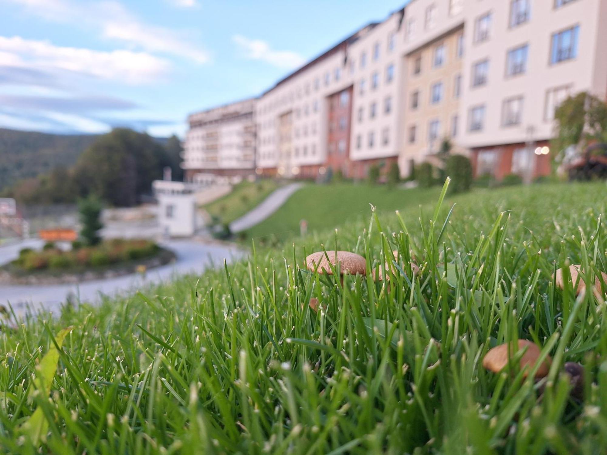 Vistanova Milmari S33 Appartement Kopaonik Buitenkant foto